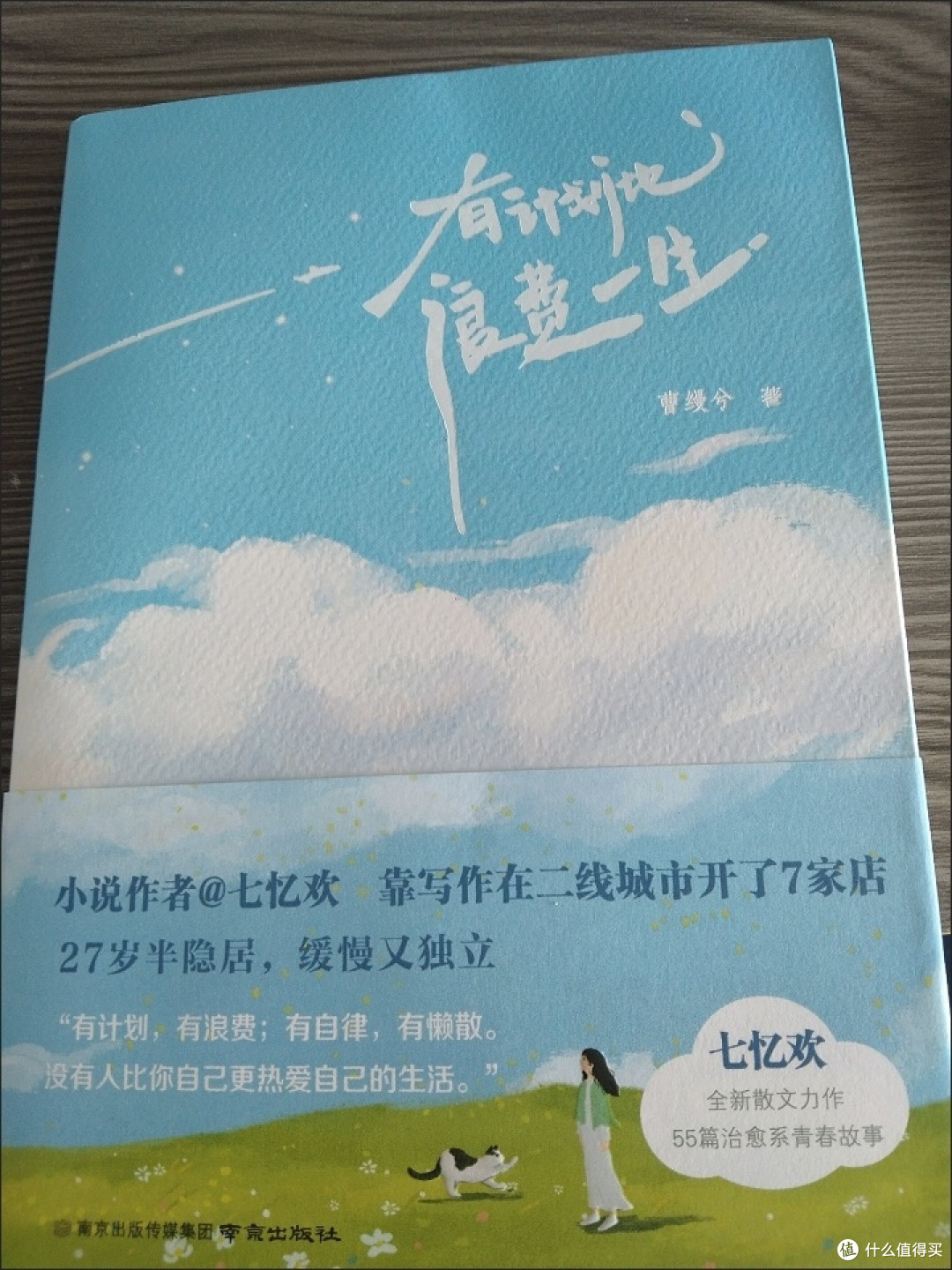 读《有计划地浪费一生》:给夏天降降温的松弛感指南