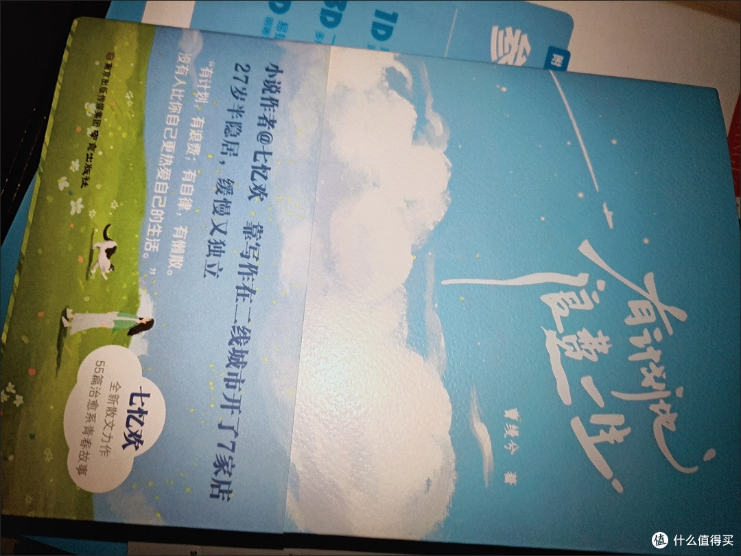 读《有计划地浪费一生》:给夏天降降温的松弛感指南