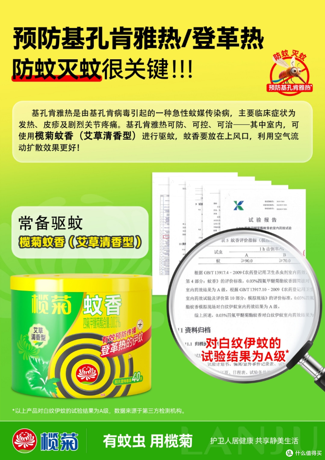 为什么基孔肯雅热和登革热频频来袭?该如何应对这些新发传染病?