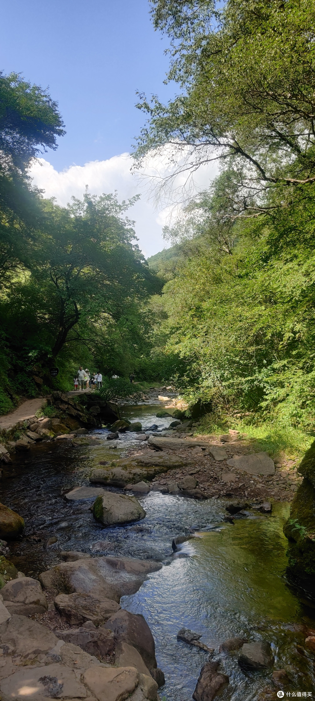 夏天的六盘山,绝对的避暑胜地。