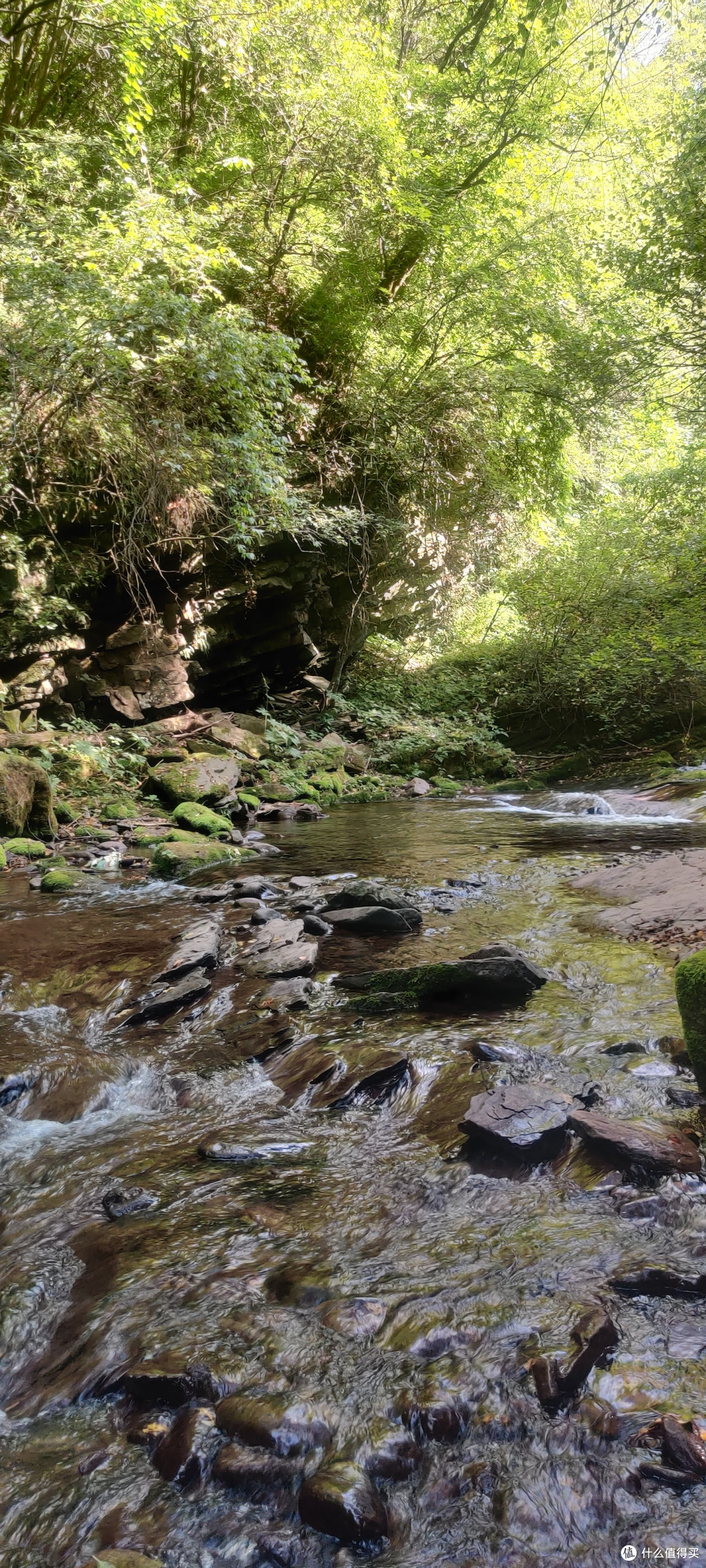 夏天的六盘山,绝对的避暑胜地。