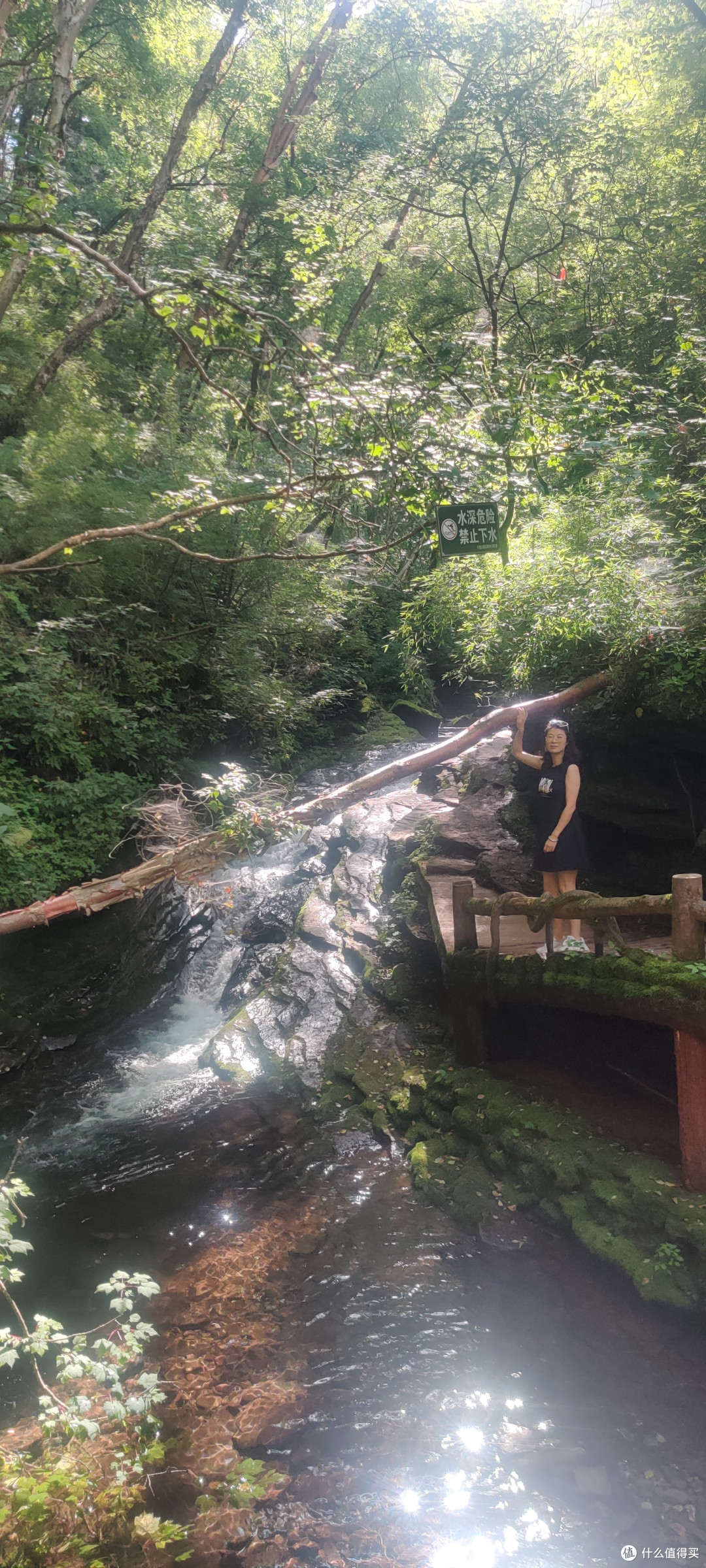 夏天的六盘山,绝对的避暑胜地。