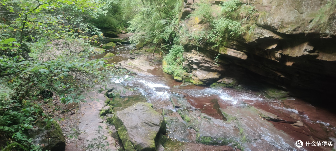 夏天的六盘山,绝对的避暑胜地。
