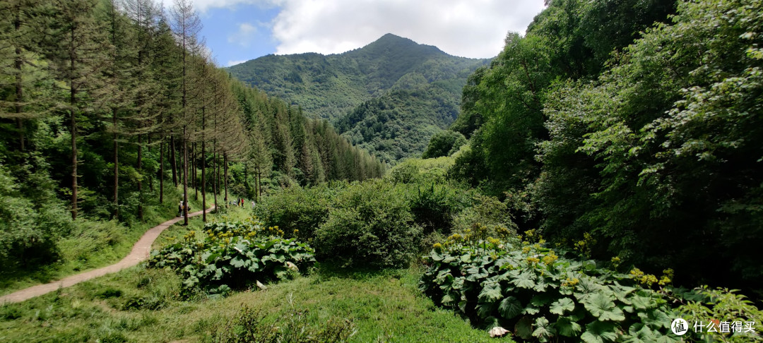 夏天的六盘山,绝对的避暑胜地。