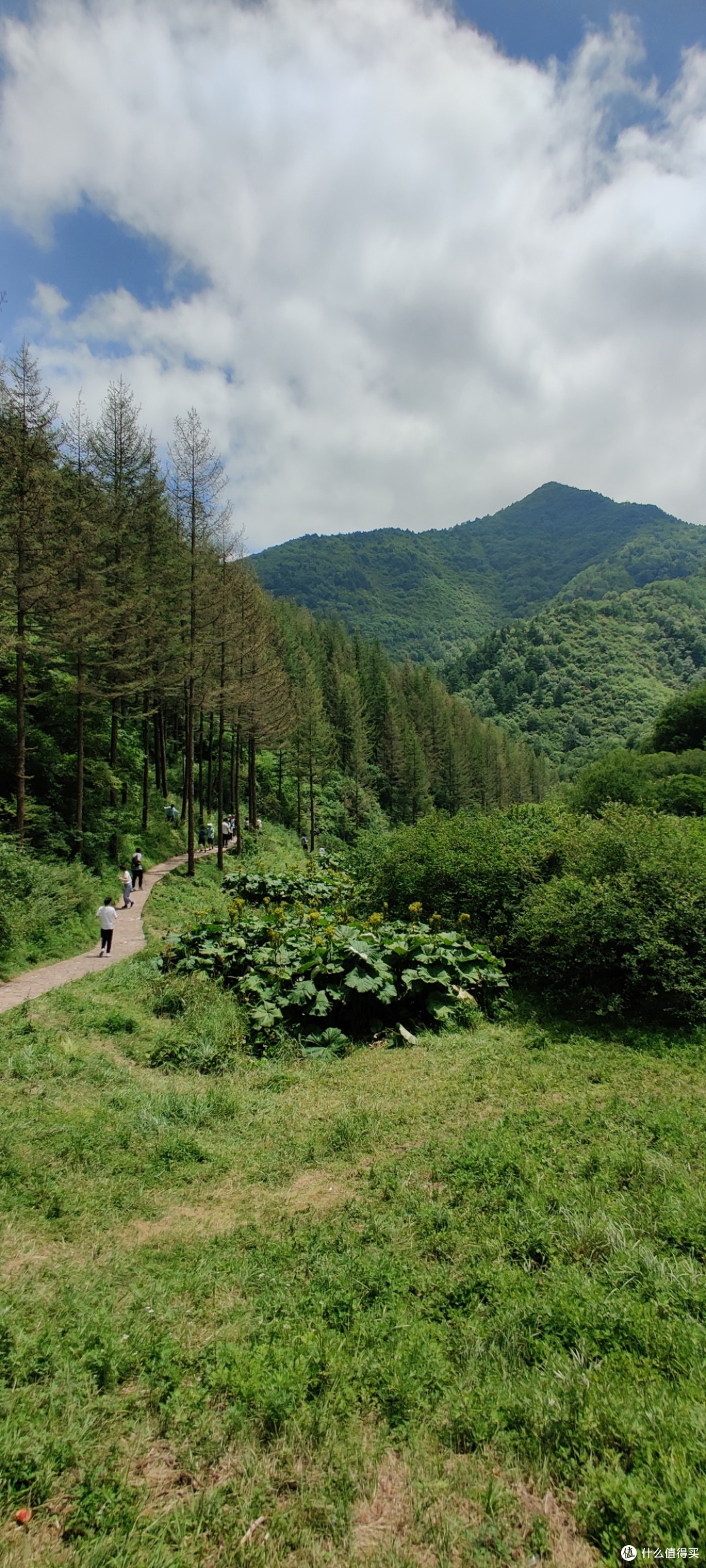 夏天的六盘山,绝对的避暑胜地。