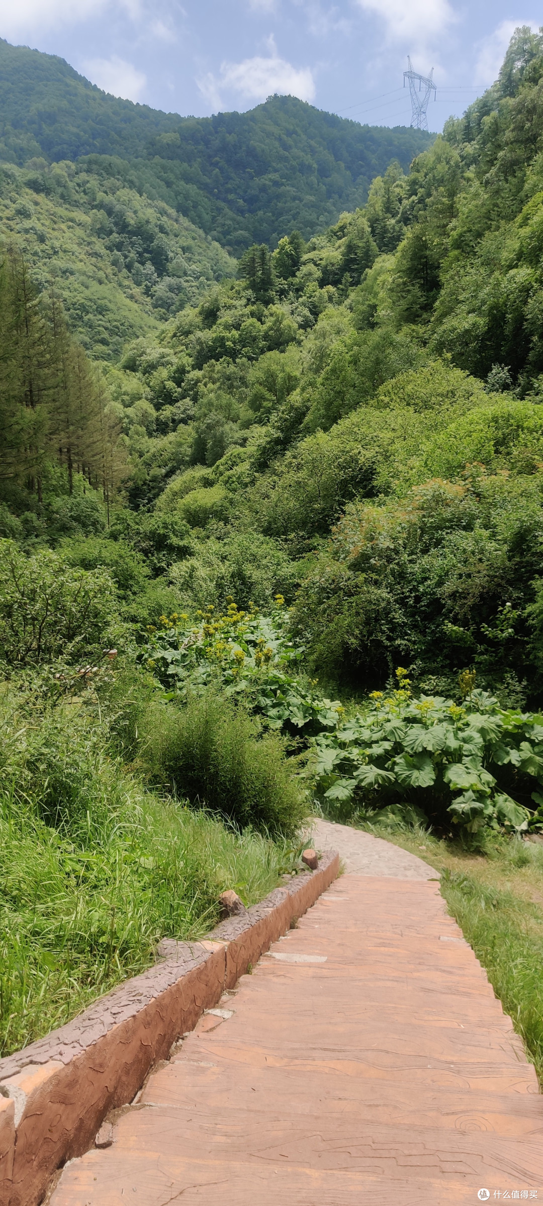 夏天的六盘山,绝对的避暑胜地。