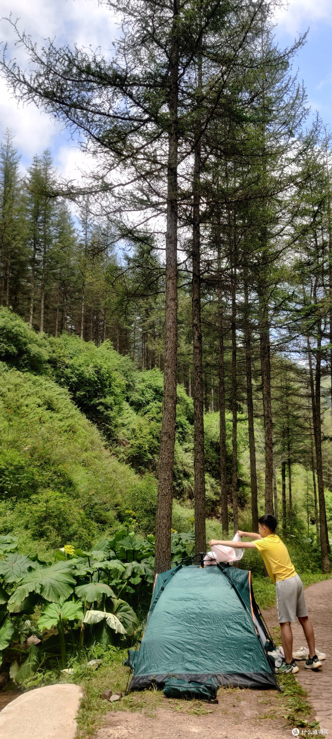 夏天的六盘山,绝对的避暑胜地。