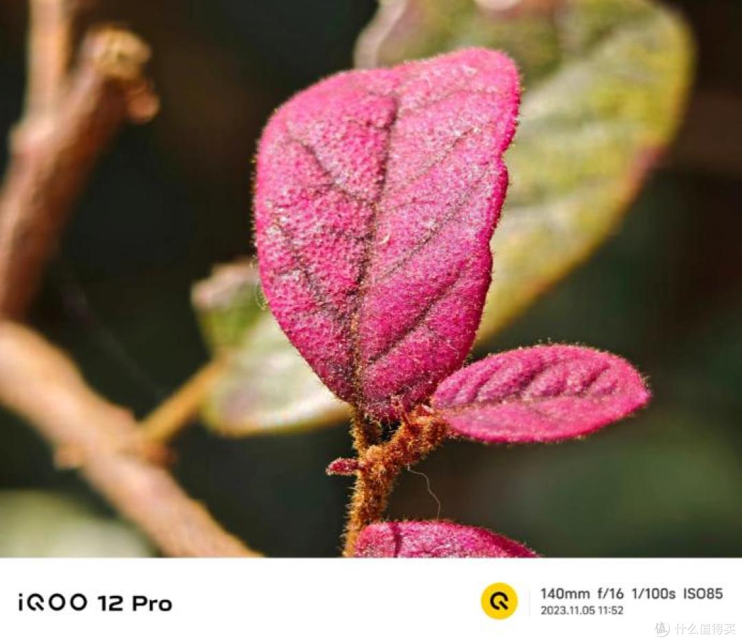 都2025年了 iQOO 12 Pro,的含金量还在上升