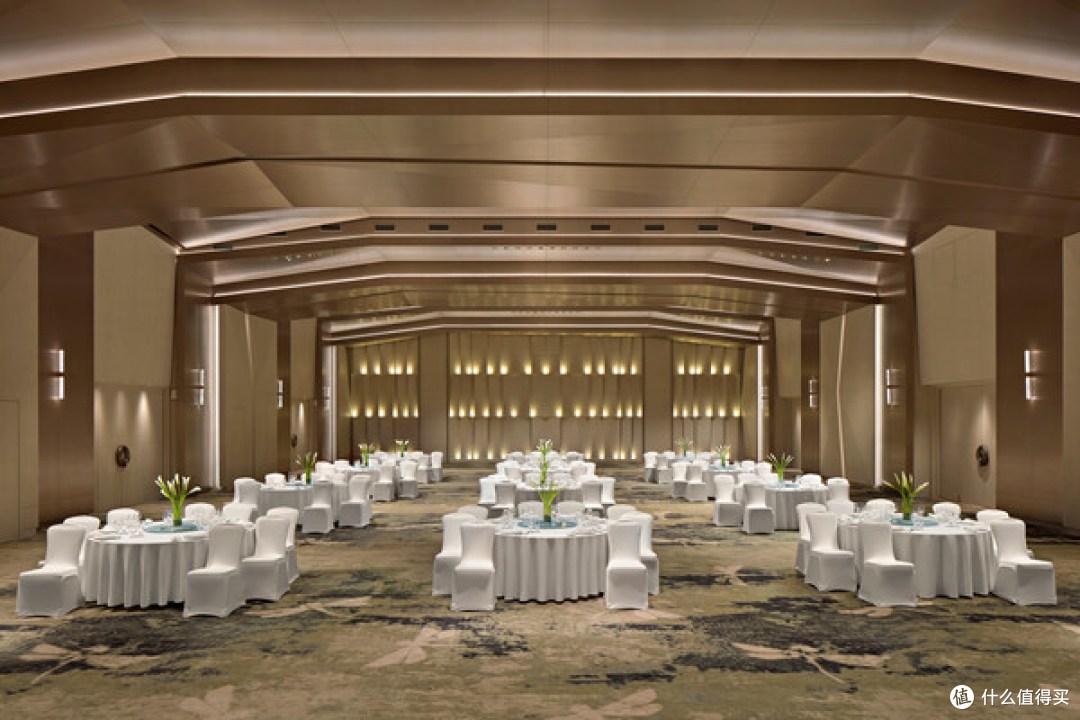 Lotus Ballroom provides a sophisticated setting for up to 500 guests, enhanced by advanced AV systems and a customizable 16-million-color LED lighting