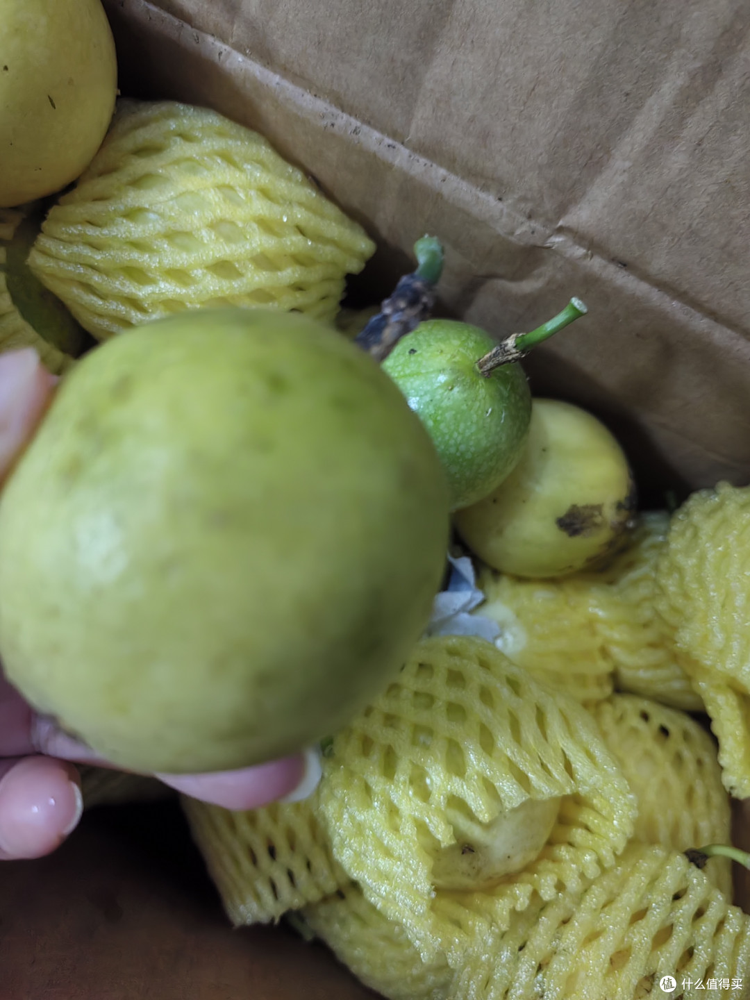 源头直发!尝鲜钦蜜9号百香果