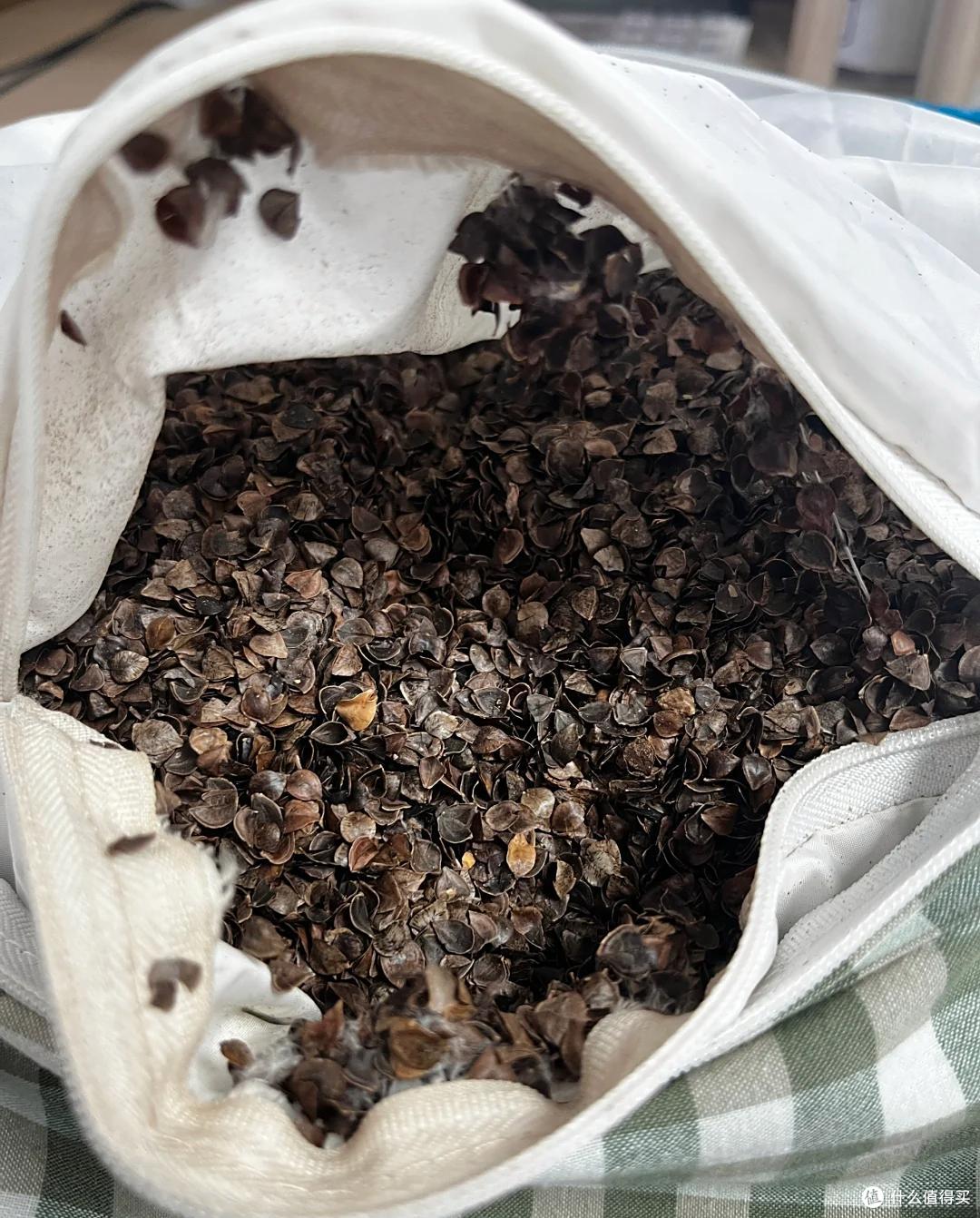 什么枕头最舒服还健康?4种主流枕头对比:结果一目了然!