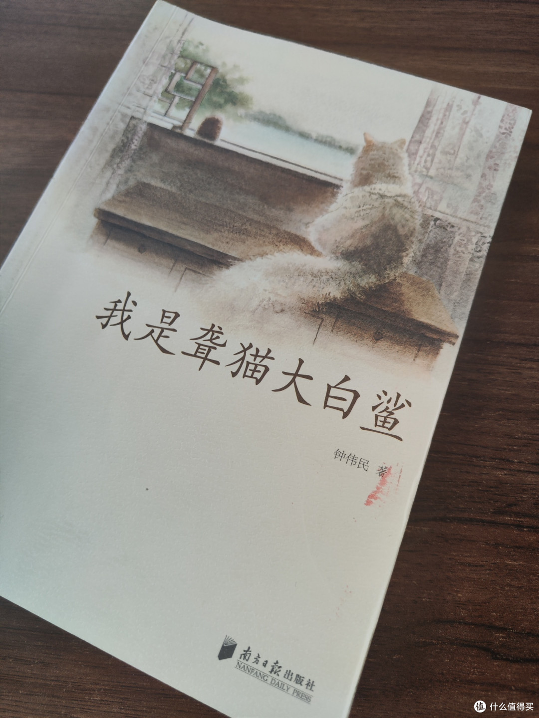 一只猫,一个人,一段温暖又扎心的缘分