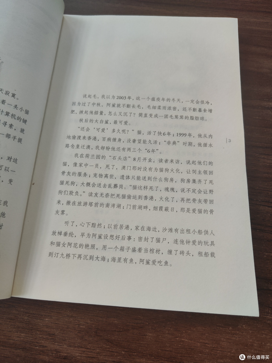 一只猫,一个人,一段温暖又扎心的缘分