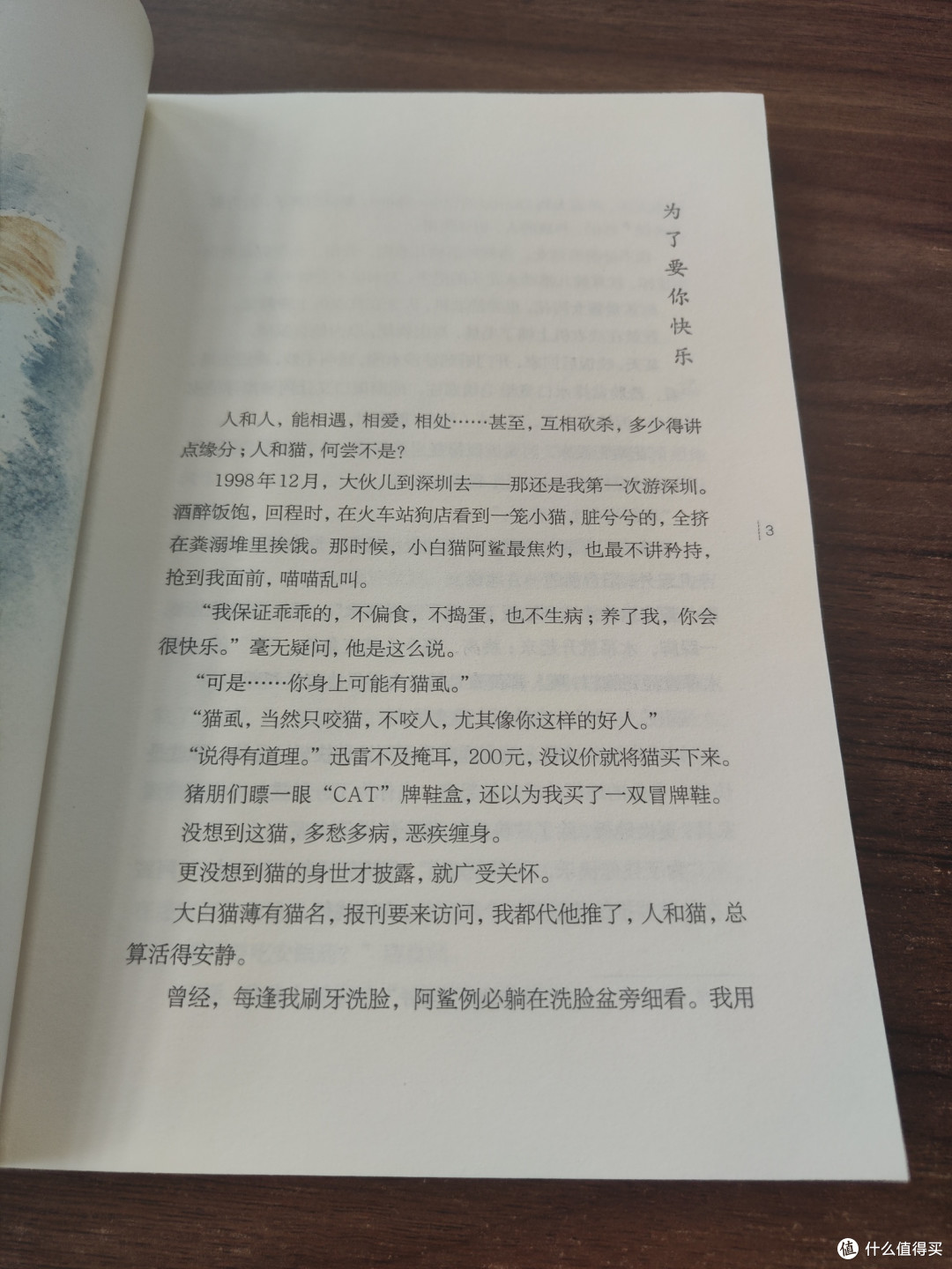 一只猫,一个人,一段温暖又扎心的缘分