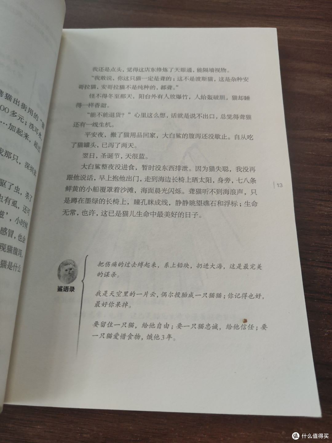 一只猫,一个人,一段温暖又扎心的缘分