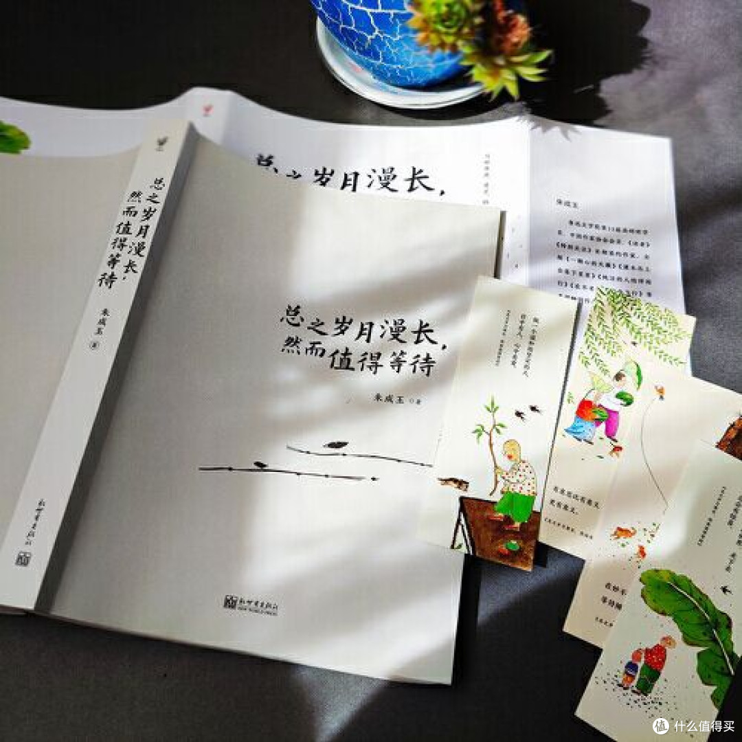 读《总之岁月漫长,然而值得等待》:夏日里的温柔等待