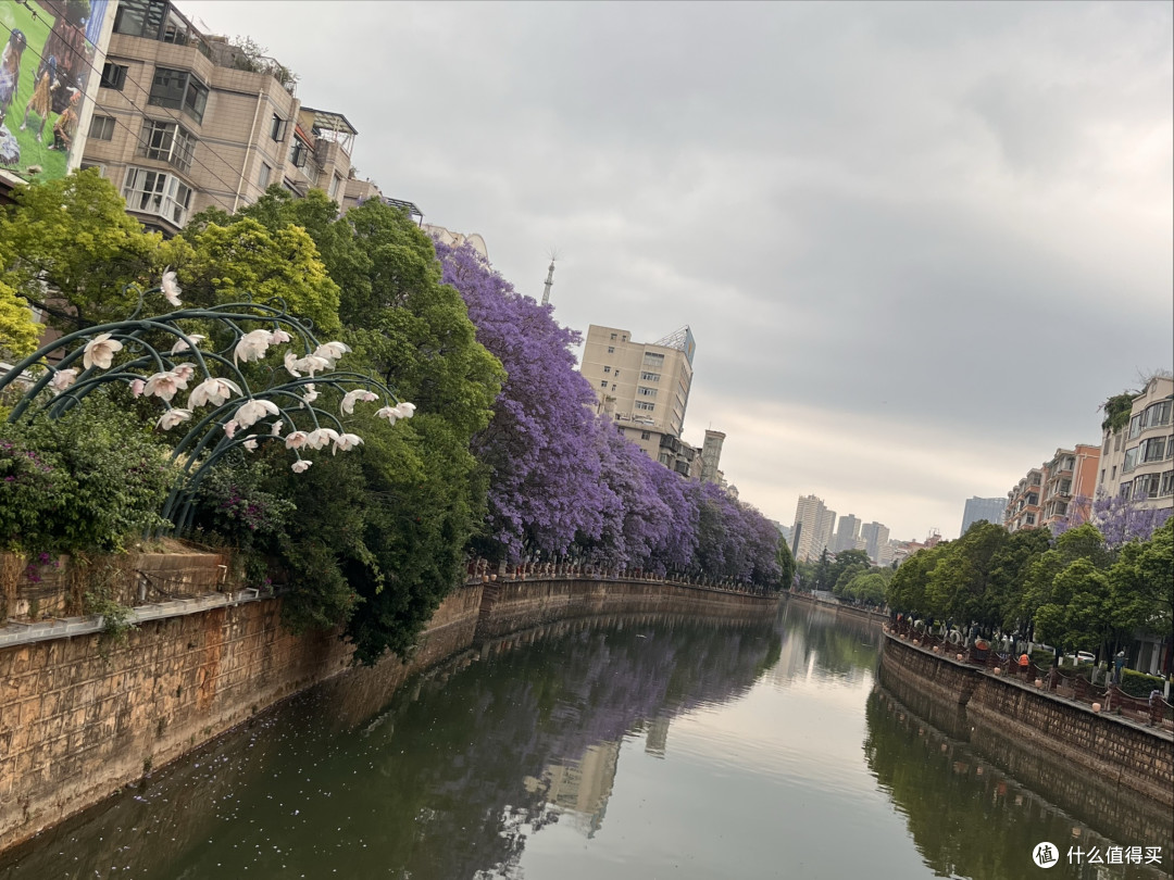 🌤️人均300+住进昆明「云端花园」!