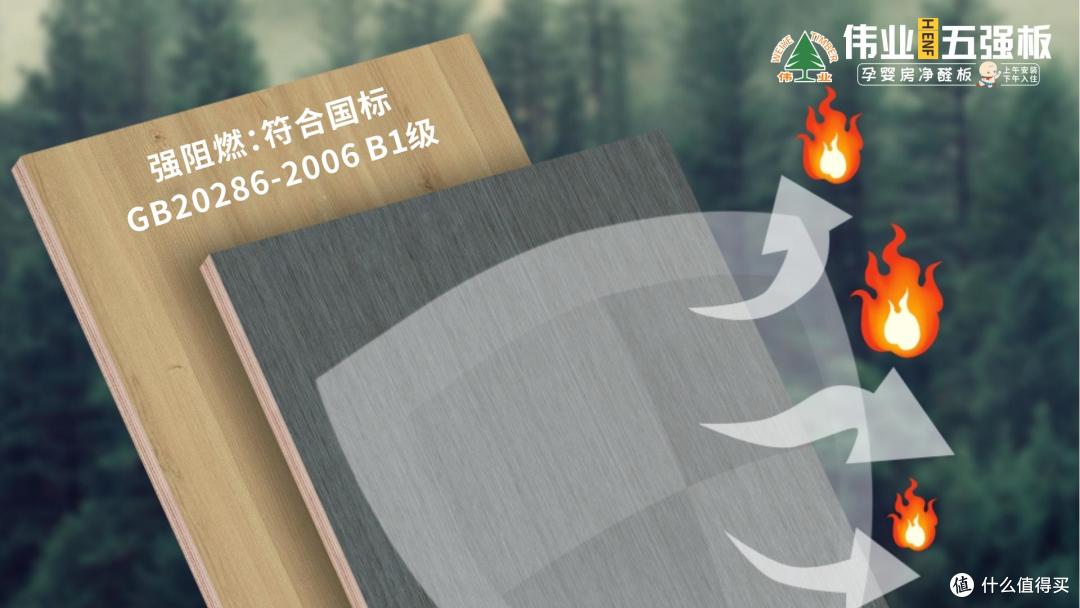颠覆认知！伟业五强板+无机生态胶，撕开传统板材的5大伪装