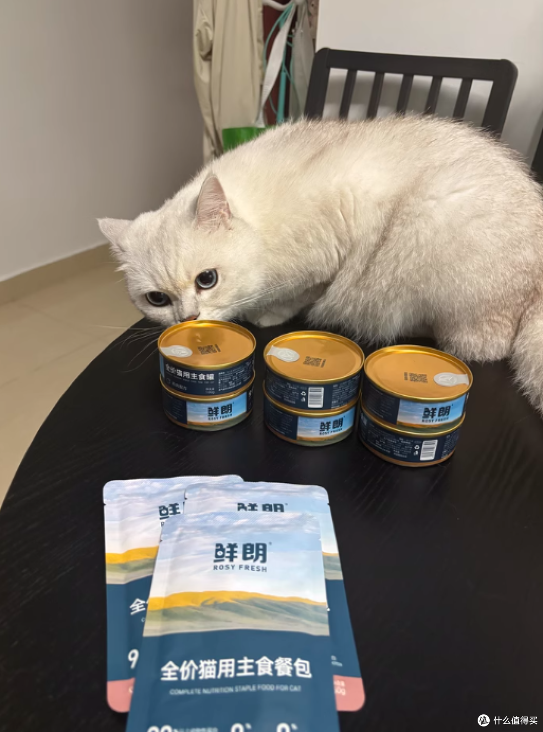 铲屎官必看！鲜朗主食罐，猫咪的挚爱之选🐾