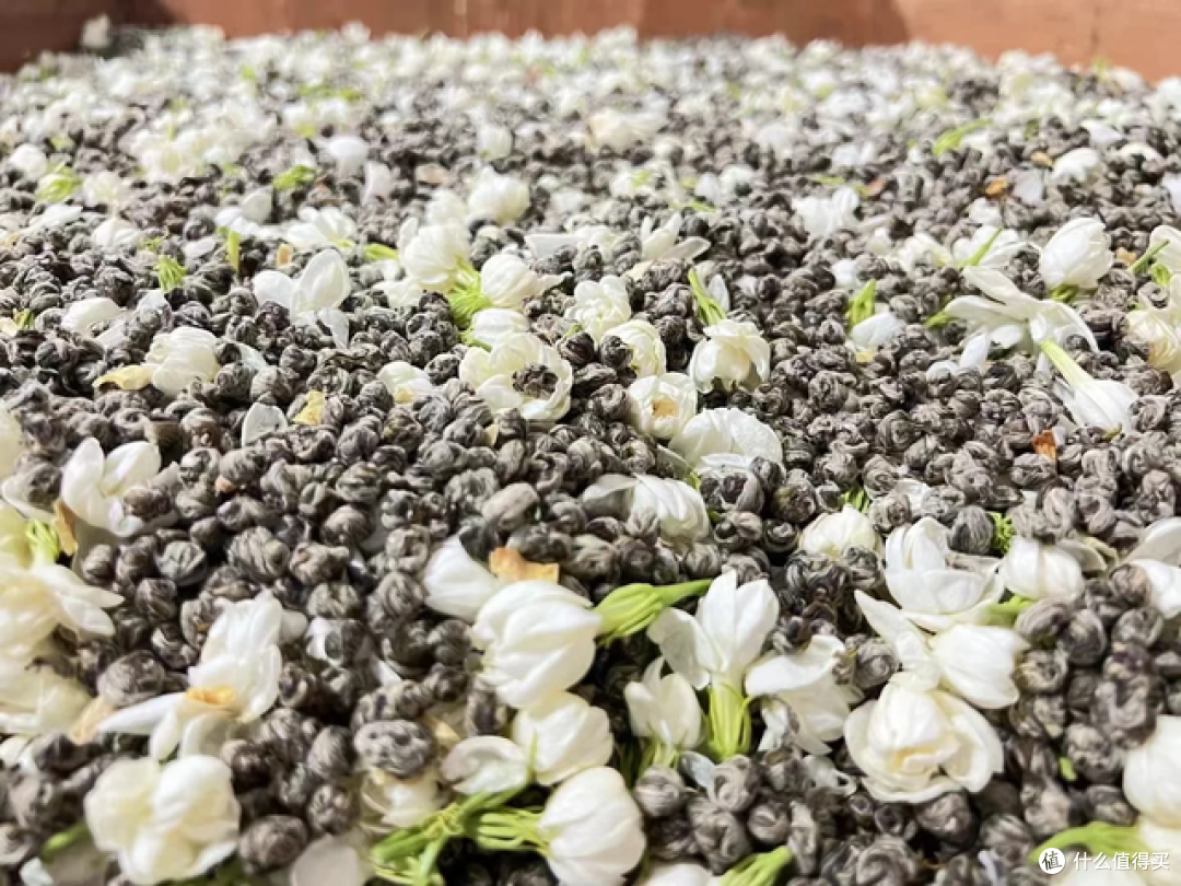 茉莉花茶入门级爱好者，怎么买茉莉花茶？哪里的茉莉花茶比较出名