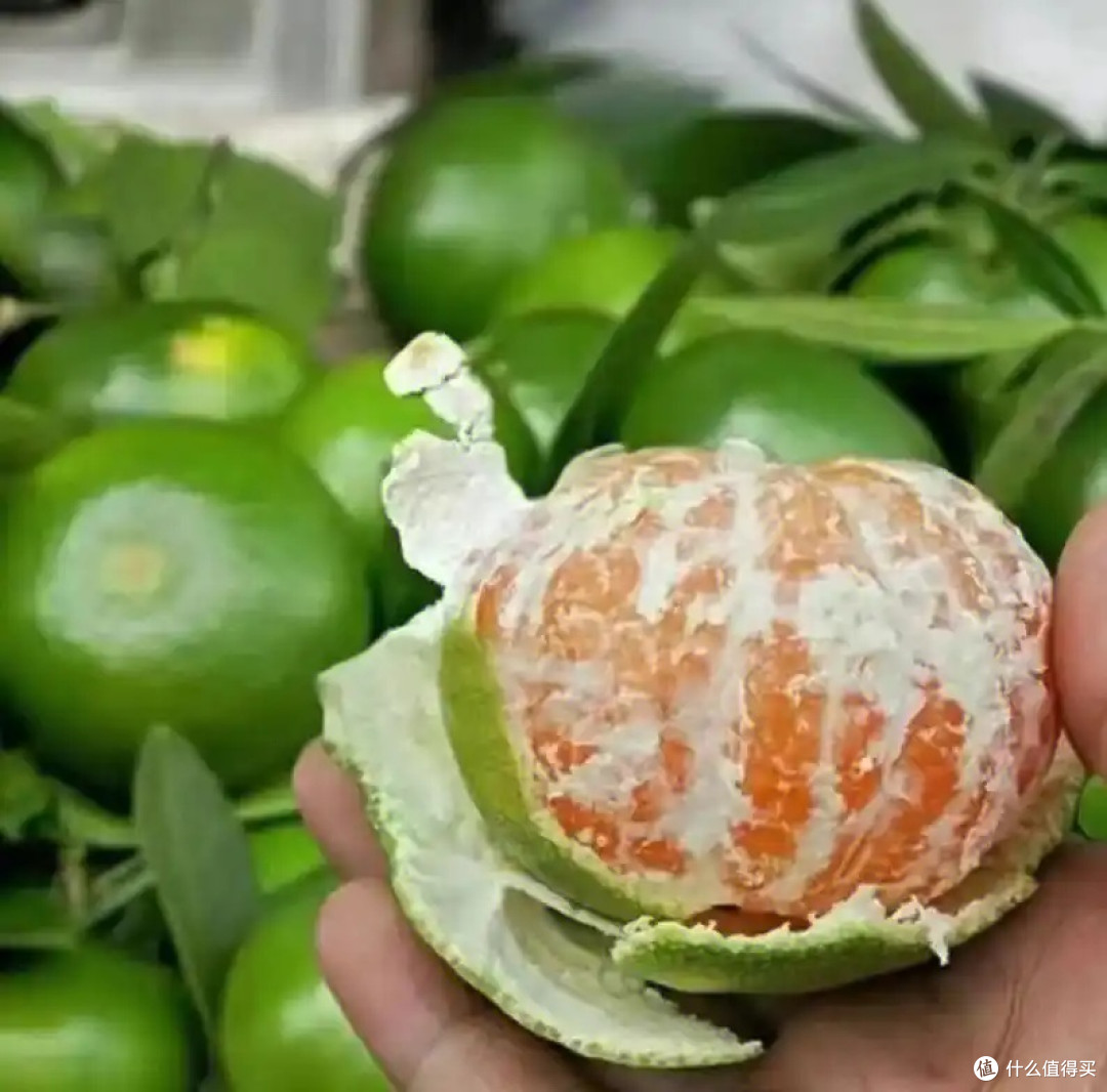 云南蜜橘:薄皮酸甜的“维C炸弹”,一口爆汁的夏日救星!