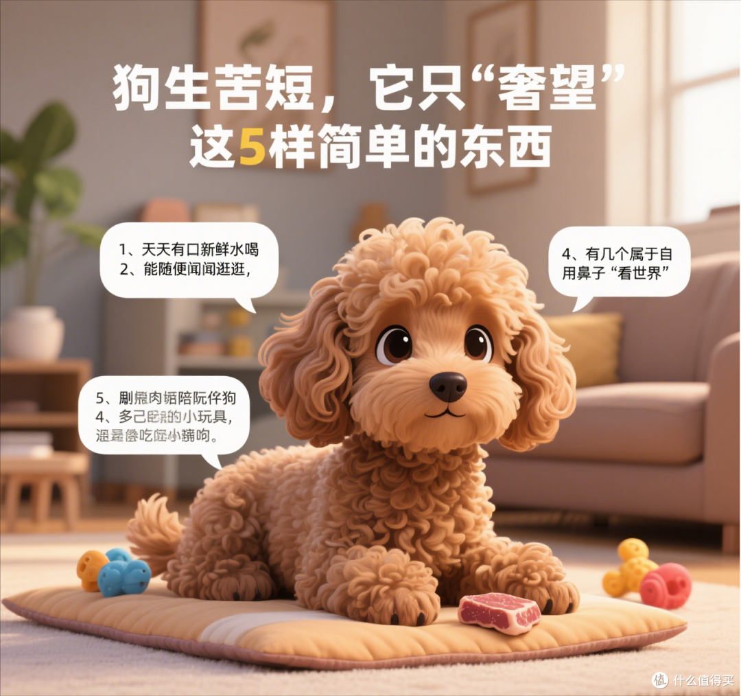 狗生苦短,它只“奢望”这5样简单的东西