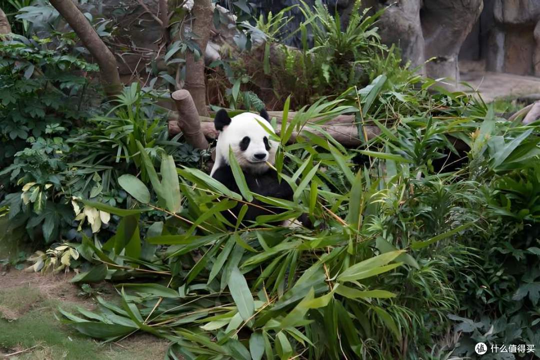 行走的课堂:三六六青少年太湖湿地生态研学营圆满收官!
