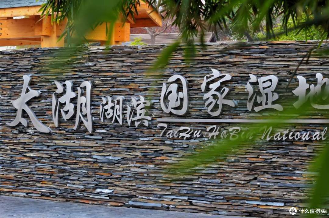 行走的课堂:三六六青少年太湖湿地生态研学营圆满收官!