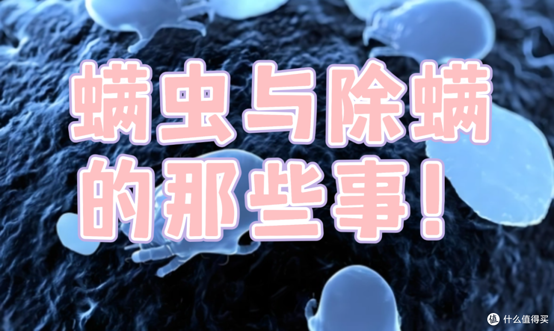 【除螨仪器推荐2025测评盘点】有哪些除螨效果好的高性价比除螨仪