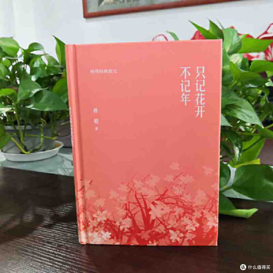 《只记花开不记年:在字间捡拾时光的芬芳》