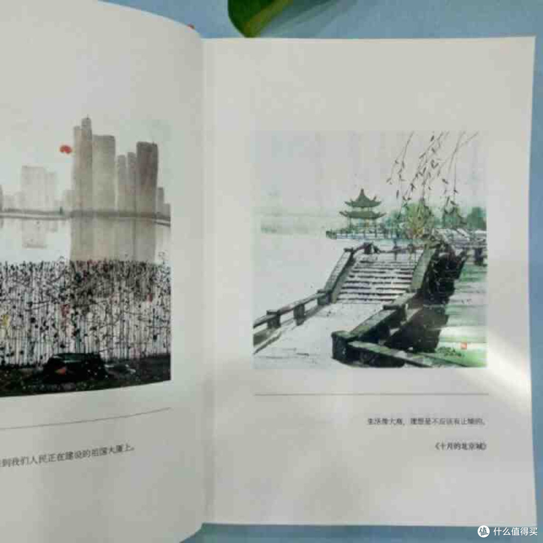 《只记花开不记年:在字间捡拾时光的芬芳》