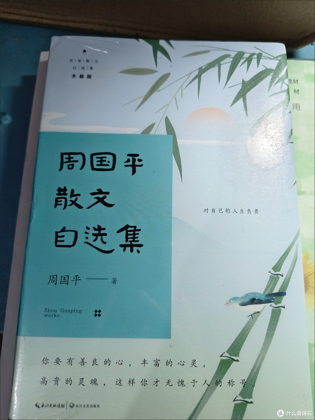 周国平散文自选集(名家散文自选集·升级版）