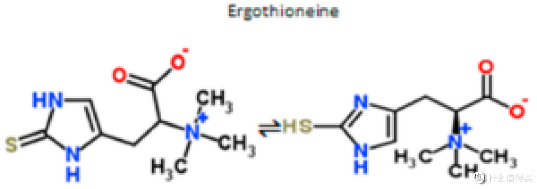 麦角硫因 Ergothioneine丨超级抗氧化剂，清除自由基，延缓衰老