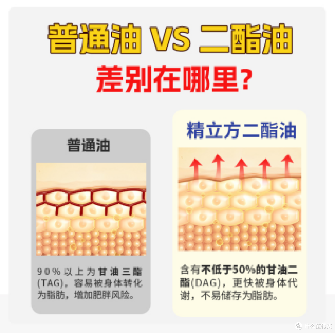 从营养学角度解析:低精力人群为何应关注食用油选择