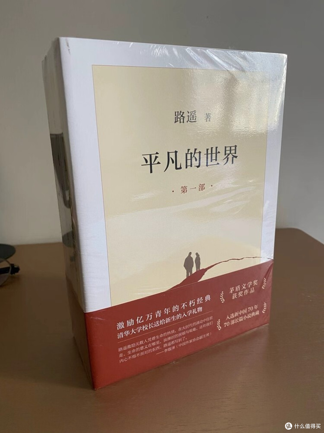 平凡世界中的生命史诗