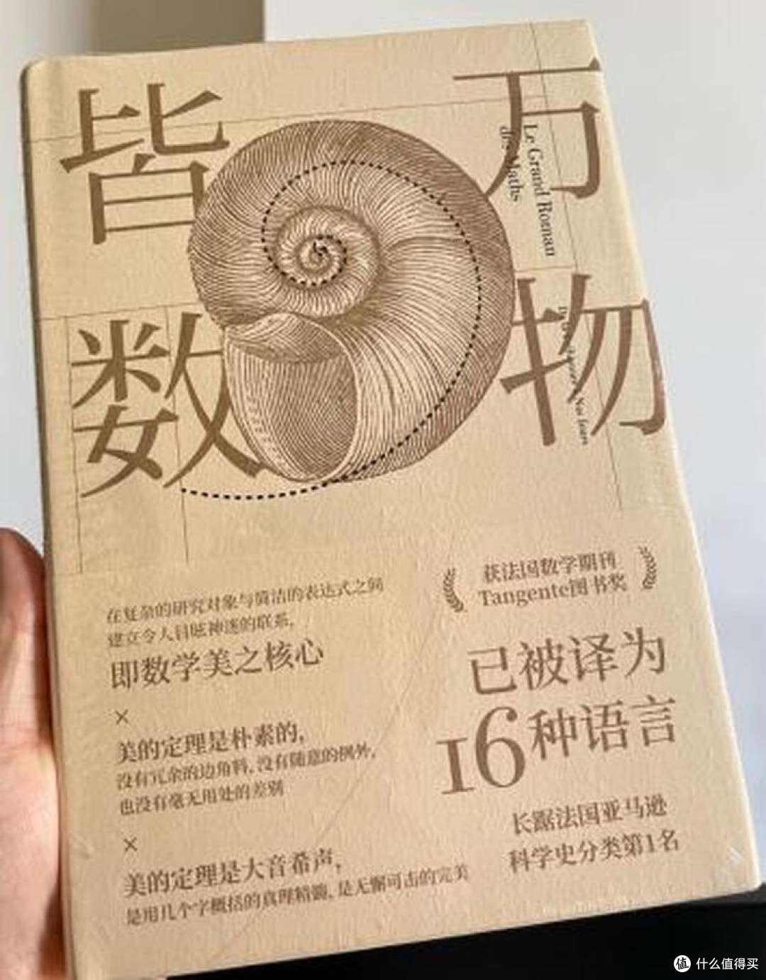 数学的双面镜像：实用与美学