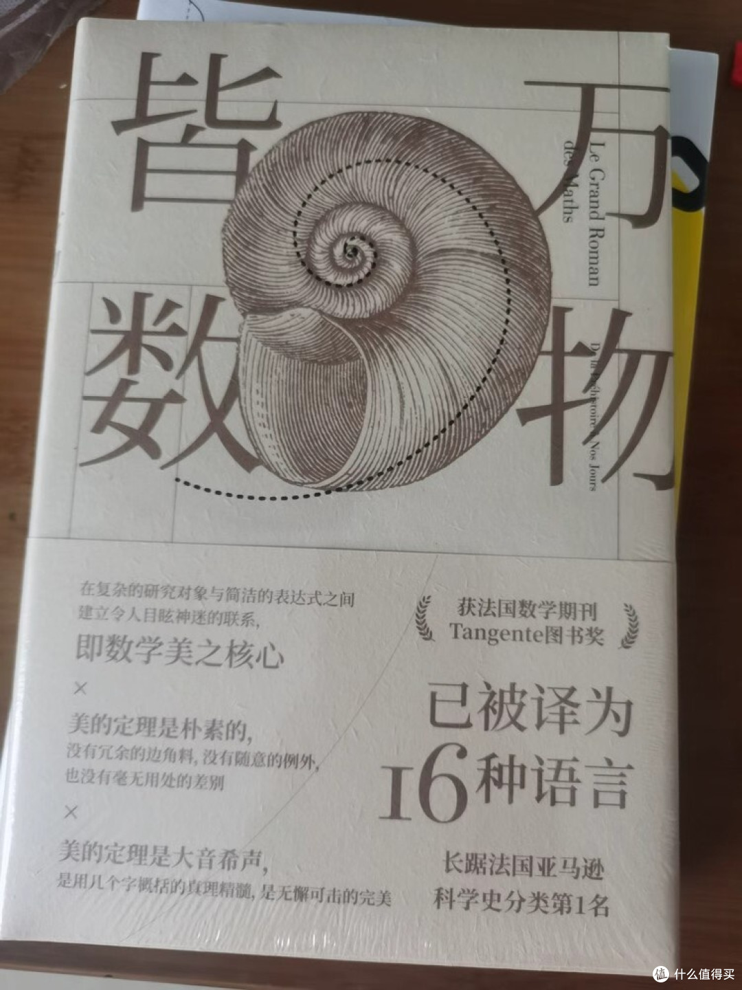 数学的双面镜像:实用与美学