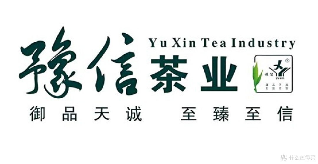 信阳毛尖品牌哪个好?内行人都珍藏的8大标杆产品