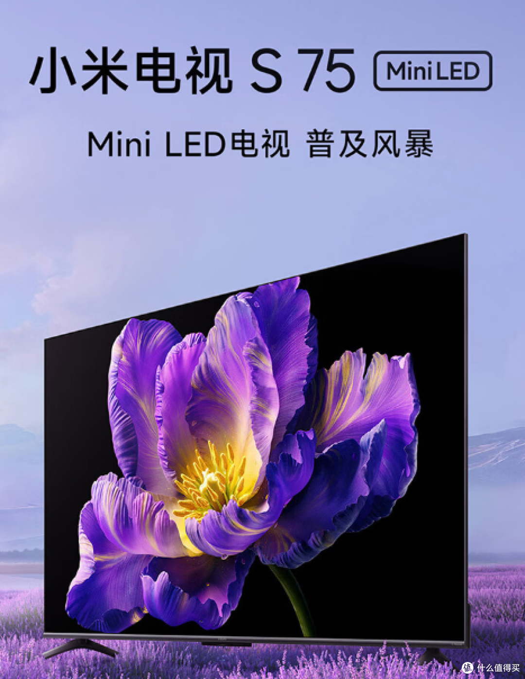 小米电视S Pro Mini LED:智能到连我妈都夸它比我听话!