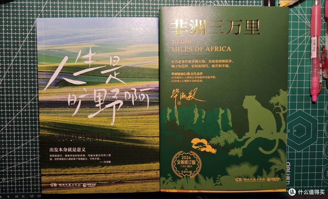 人生是旷野啊+非洲三万里 2册 毕淑敏旅行散文集代表作