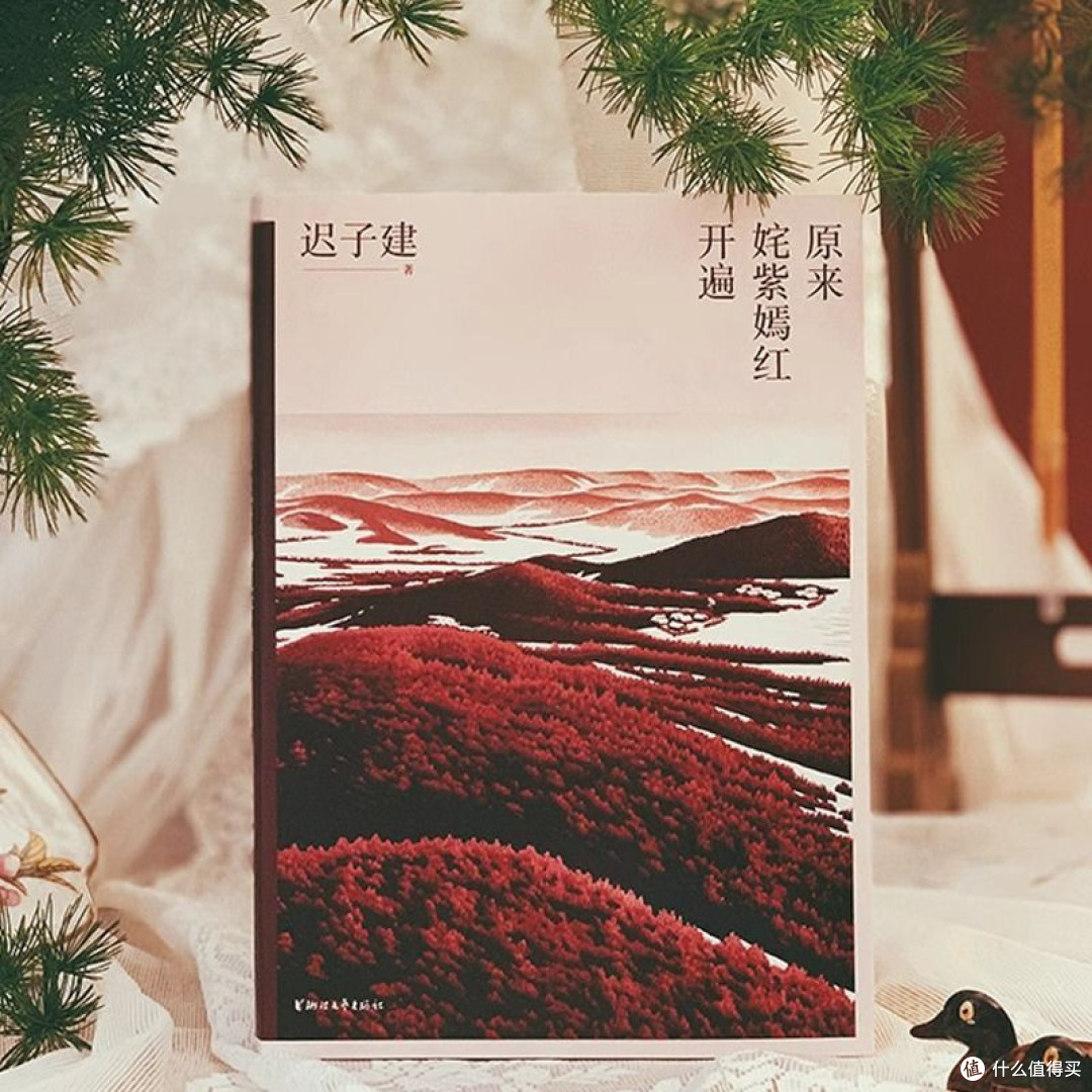 原来姹紫嫣红开遍 迟子建散文 新版中国现当代随笔青少年课外阅读