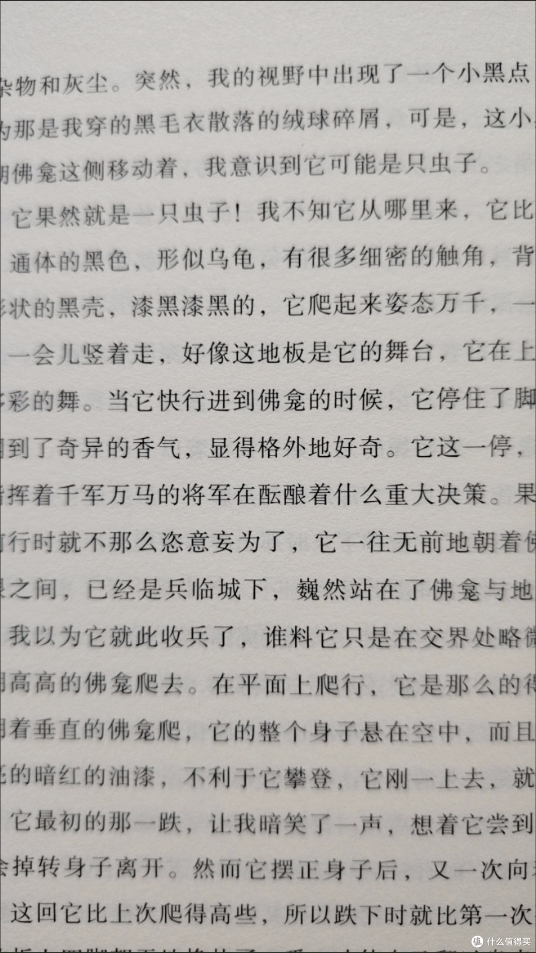 原来姹紫嫣红开遍 迟子建散文 新版中国现当代随笔青少年课外阅读