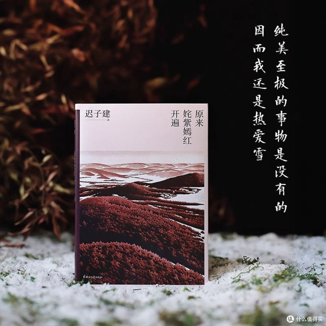 原来姹紫嫣红开遍 迟子建散文 新版中国现当代随笔青少年课外阅读