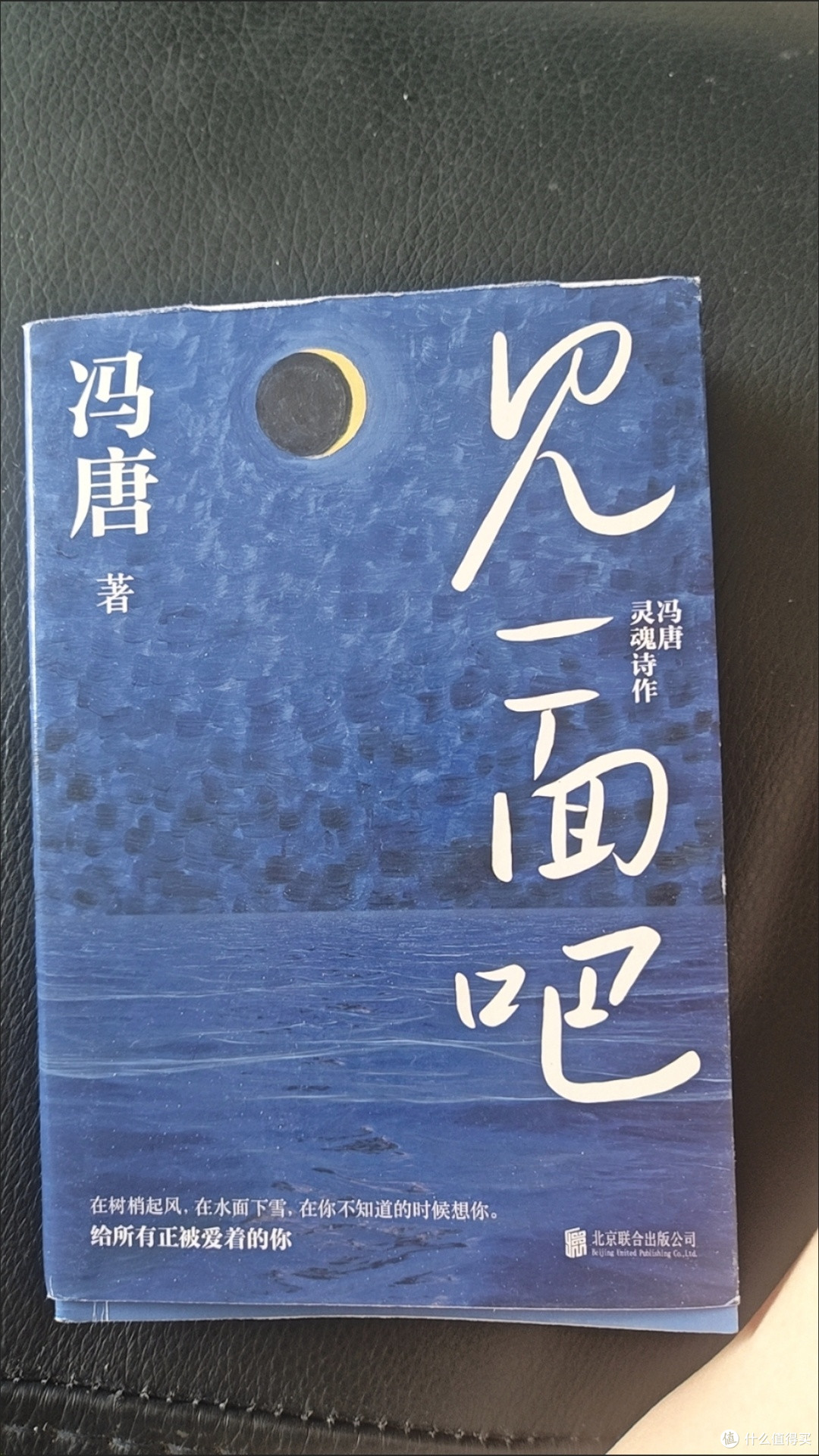 见一面吧 冯唐的书 305首灵魂诗作 散文随笔诗歌集