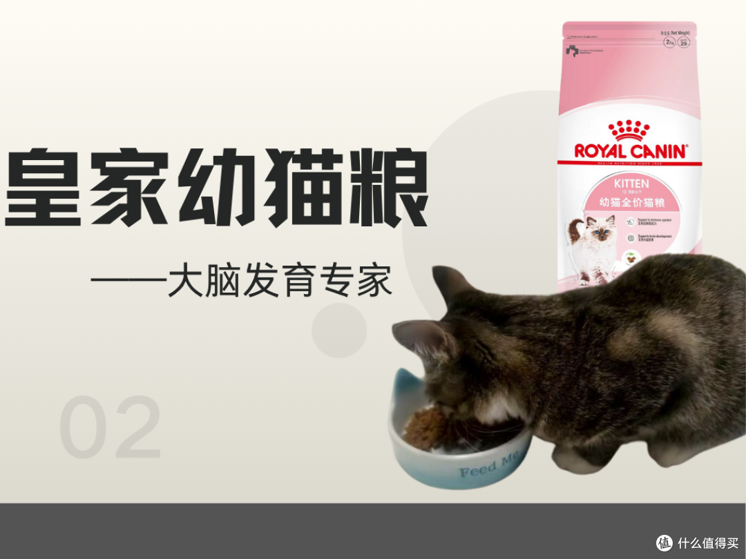 2025幼猫猫粮排行榜TOP5揭晓!小鹿可可、伟嘉、顽皮闭眼入