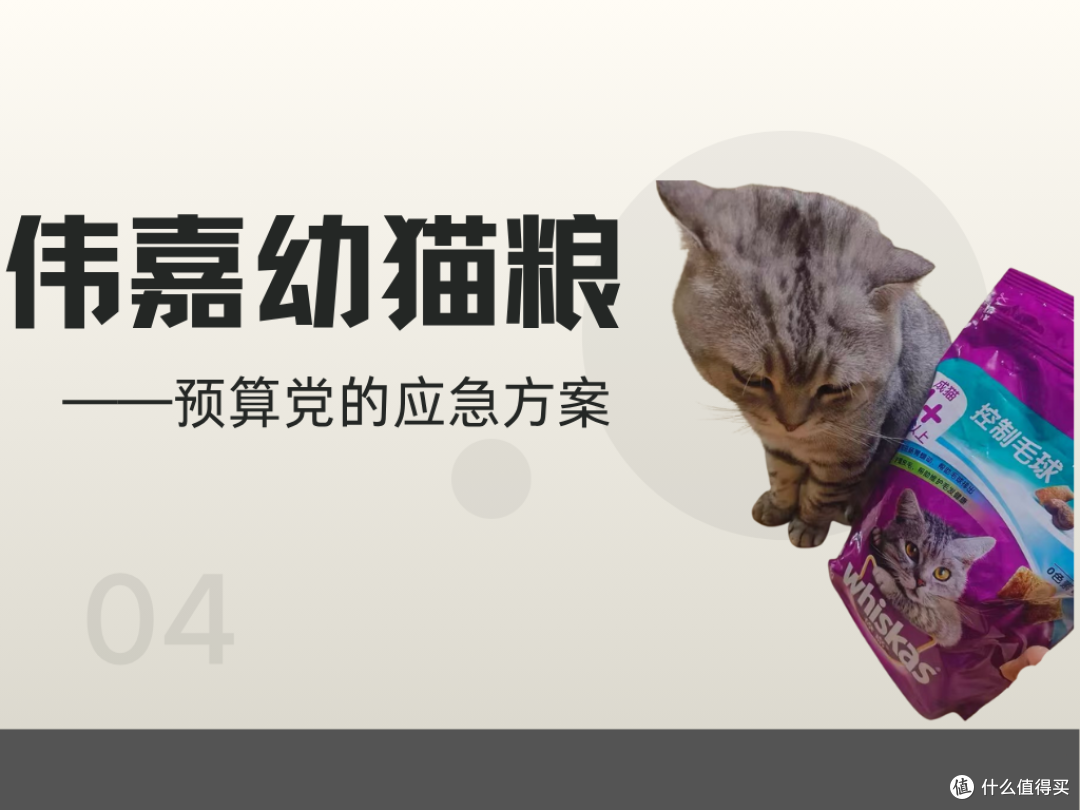 2025幼猫猫粮排行榜TOP5揭晓!小鹿可可、伟嘉、顽皮闭眼入