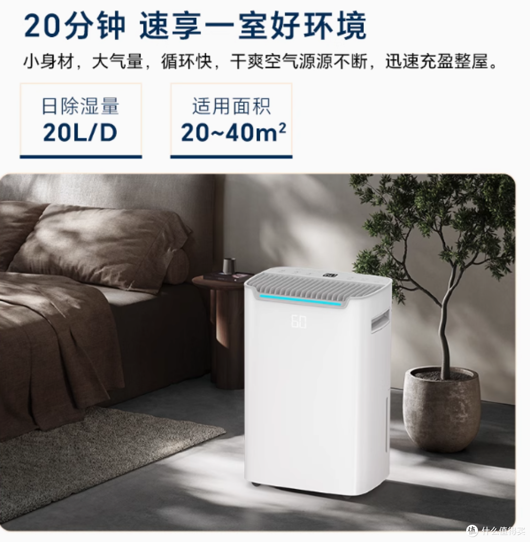 告别潮湿困扰,百奥 PD08I 为家撑起干爽晴空