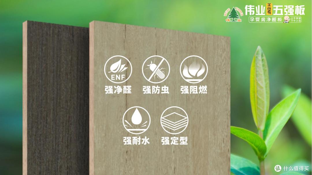 全网爆火的家装神器!伟业五强板无机生态胶凭实力圈粉无数