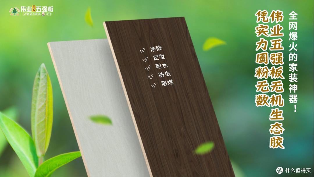 全网爆火的家装神器!伟业五强板无机生态胶凭实力圈粉无数