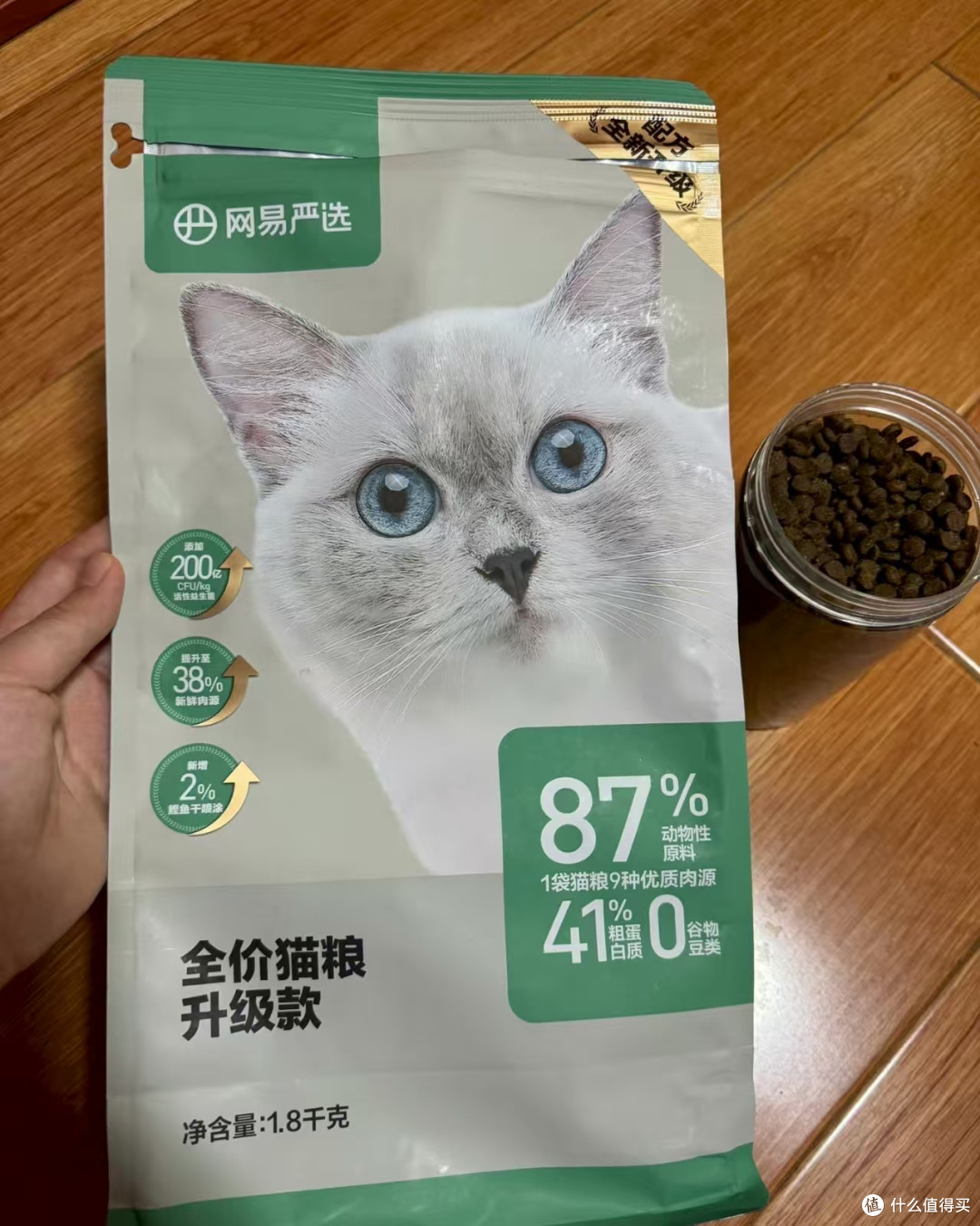 2025小猫换季肠胃敏感?5款幼猫猫粮护肠测评推荐!